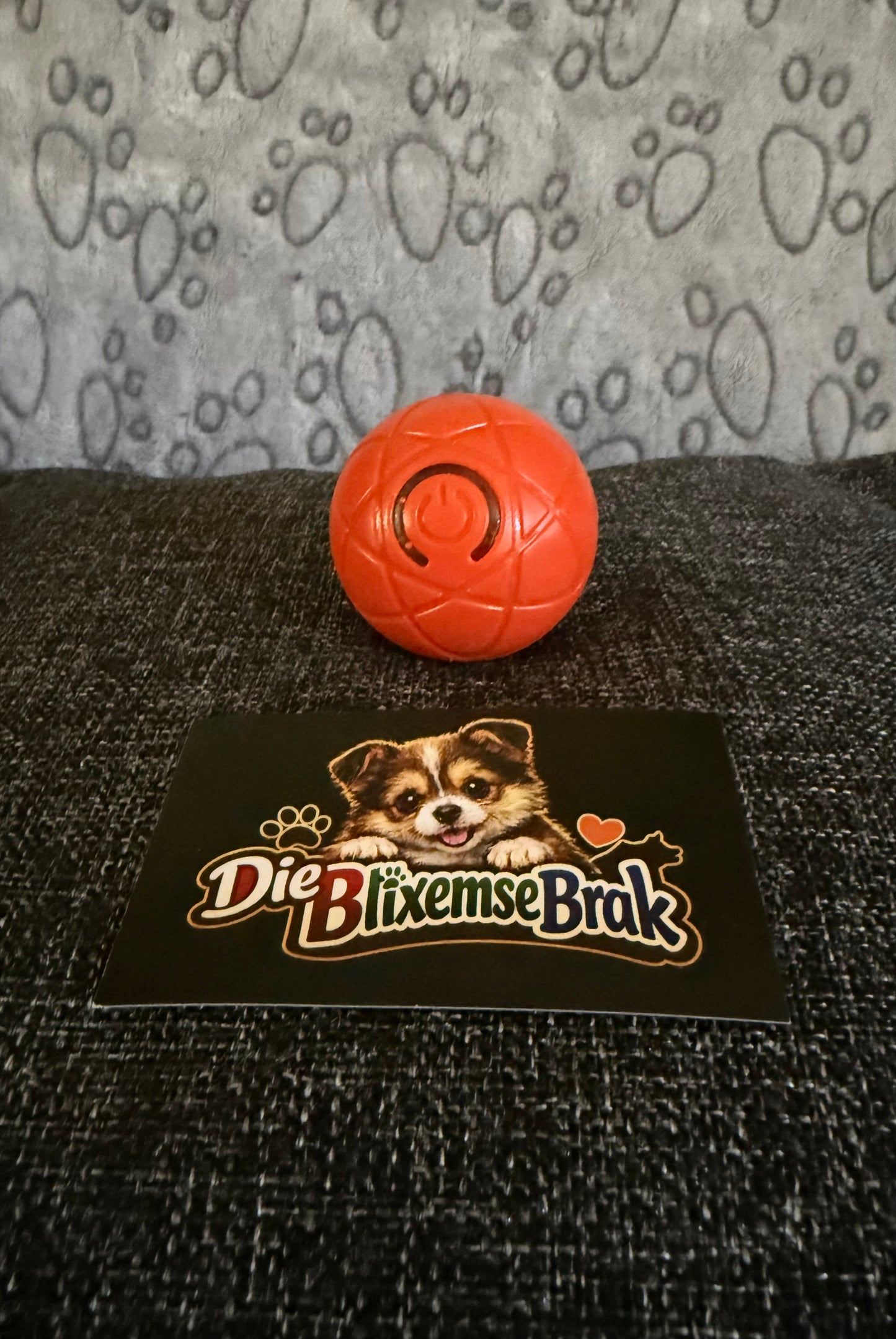 Die Jol-Bal