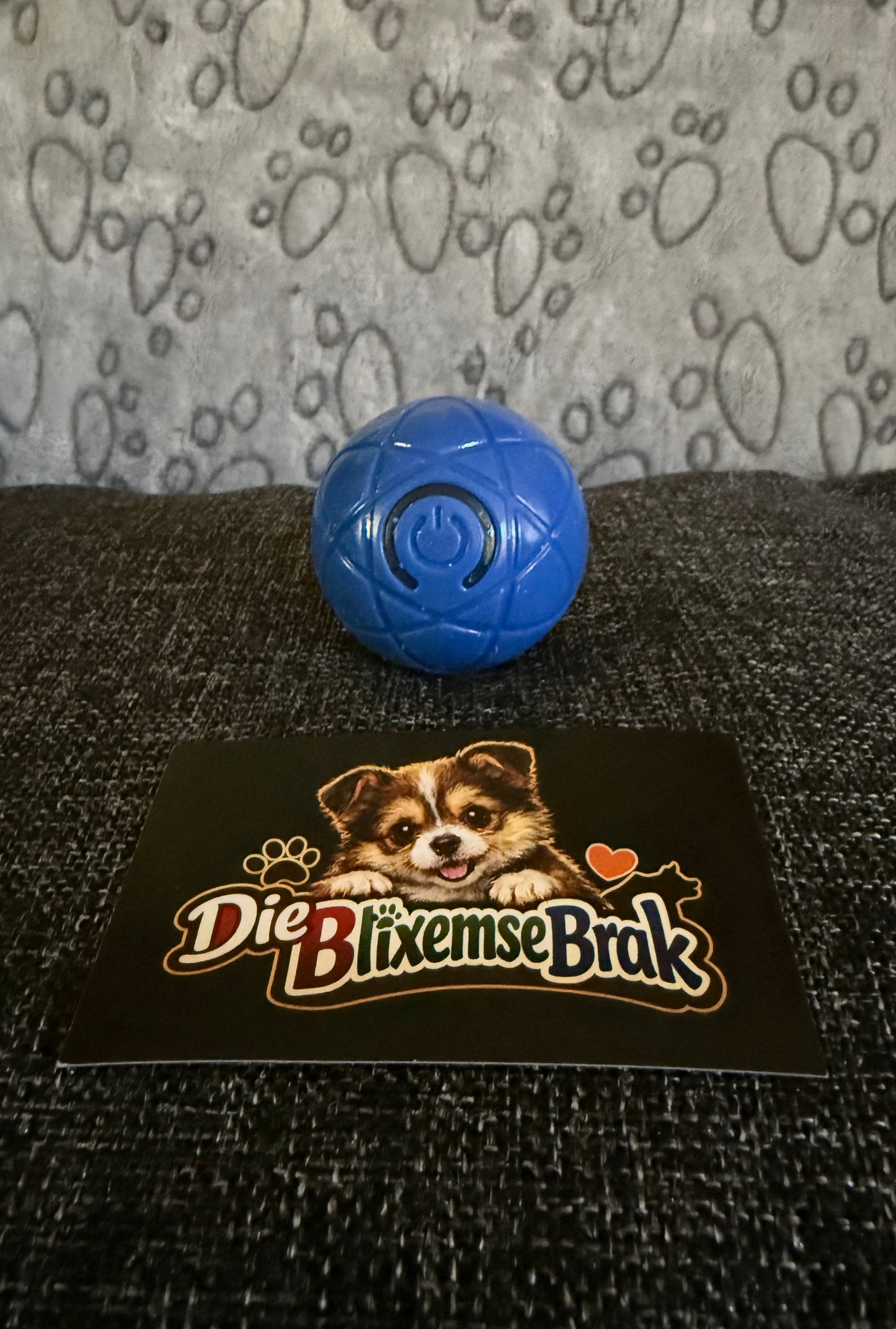 Die Jol-Bal
