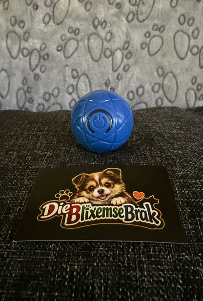 Die Jol-Bal
