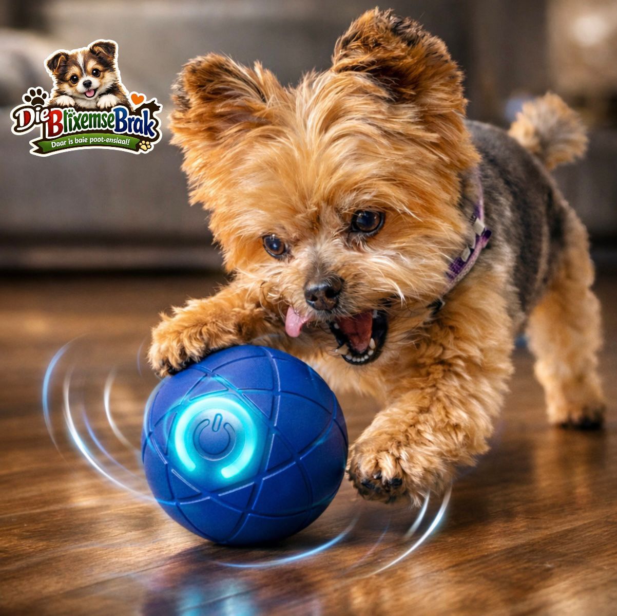 Die Groot-Hond (all-in-one)