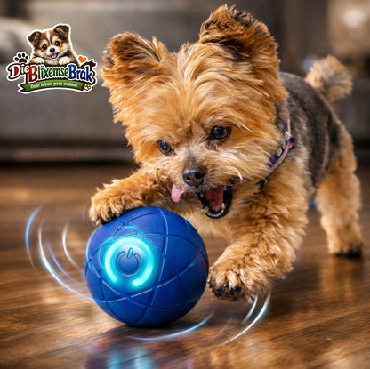 Die Groot-Hond (all-in-one)